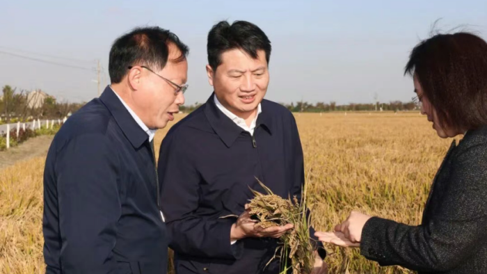 姜冬冬调研“三秋”工作推进情况